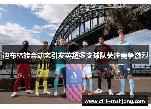 迪布林转会动态引发英超多支球队关注竞争激烈 迪布林转会动态引发英超多支球队关注竞争激烈